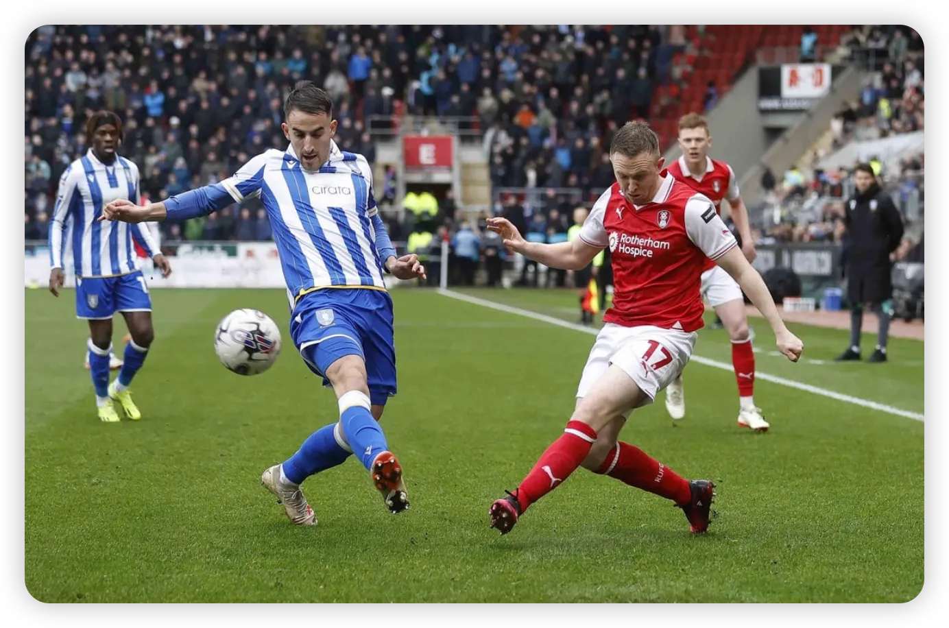 A Night of High Drama at New York Stadium