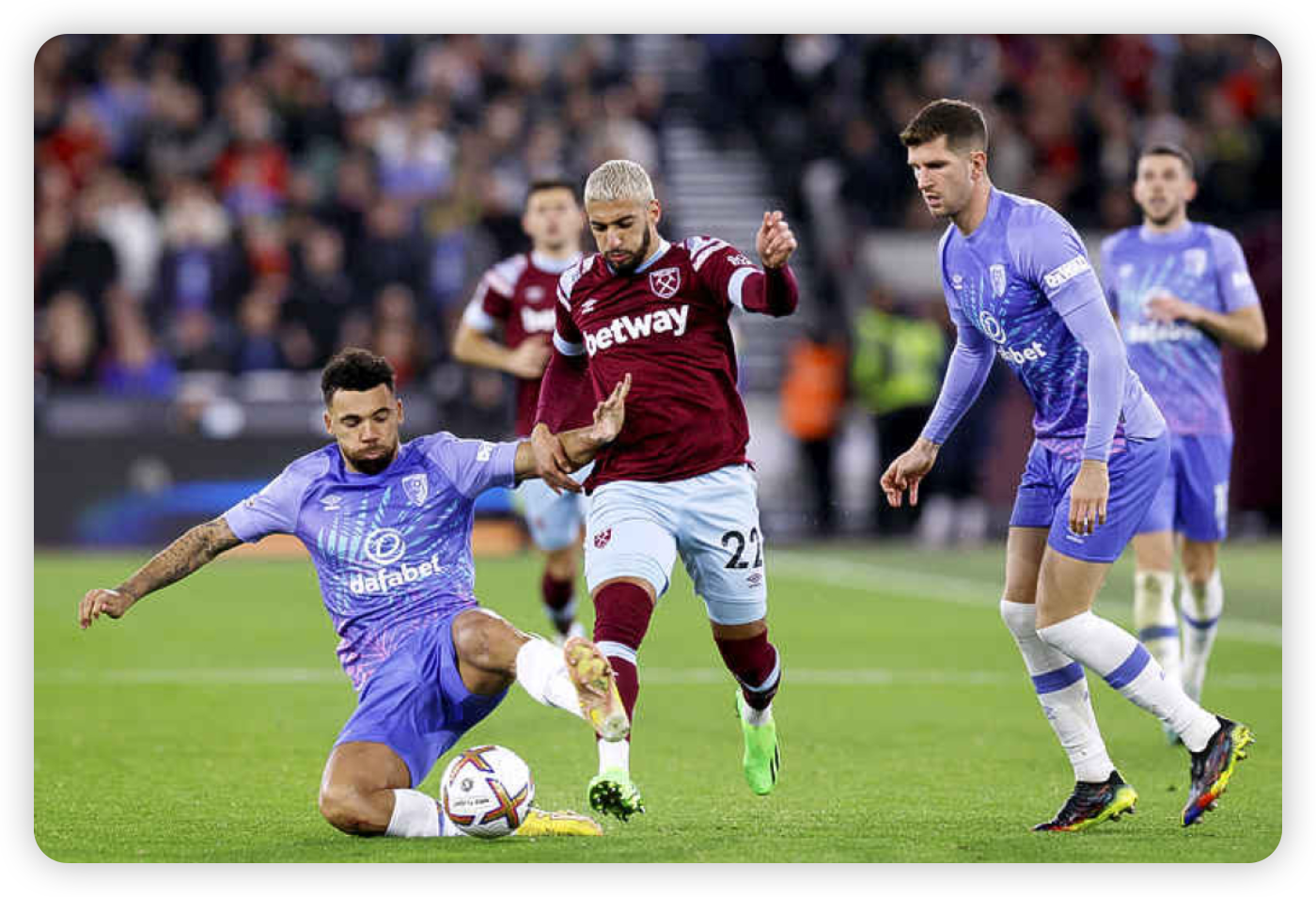 Expert Analysis and Broader Implications