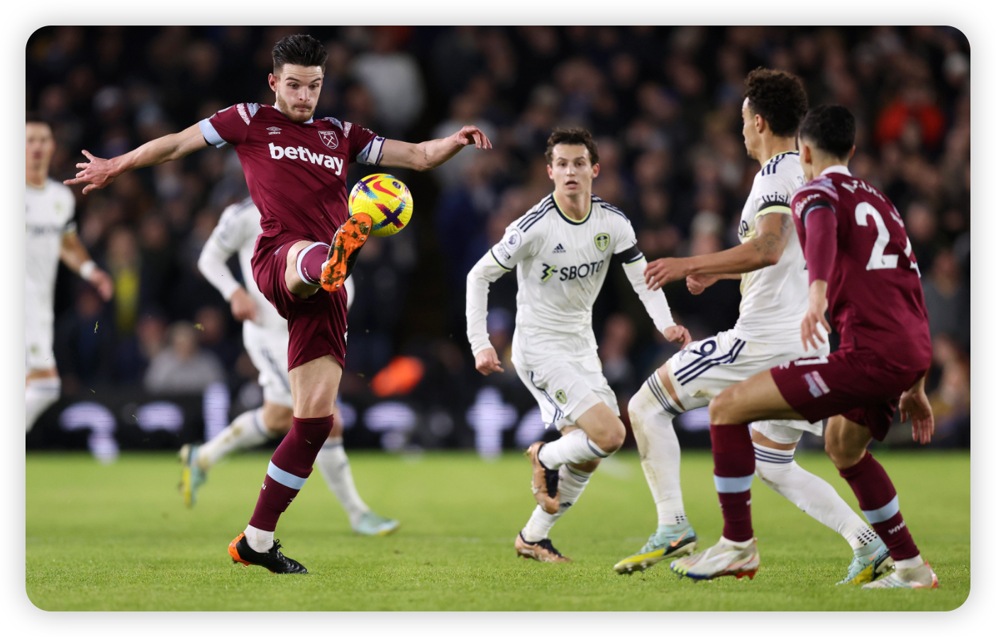 Setting the Stage: Experience vs. Debutants